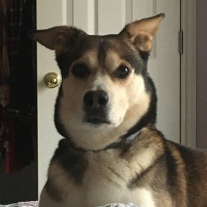 Meet your Posher, Jenna